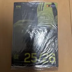 Item thumbnail for item 16aa0a40-3954-49c6-ac2e-153f7932ab9a