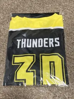 群馬クレインサンダーズ　来場特典　ホッケーTシャツ　新品未使用品