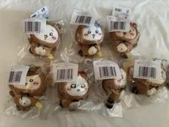 ちいかわ たぬきだもんくじ マスコット セミコンプリート