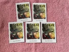 あんスタ ぱしゃっつ vol.6 A 春川宙