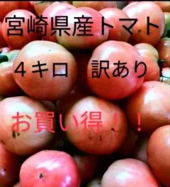 宮崎県産 トマト 4kg 訳ありのサムネイル