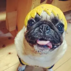 【風様★専用ページ】オーダーメイドのご相談★むぎ印★消しゴムはんこ