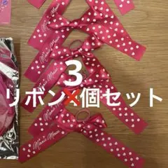 ディズニー　ミニー　パルパルーザ　ファンダーランド　クッキー　リボン