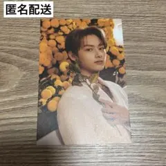 SEVENTEEN Your Choice ONESIDE ジュン ポストカード