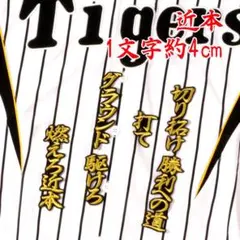 Item thumbnail for item 4bc79821-8bb7-4792-b12b-d6bb9b1b0bdc