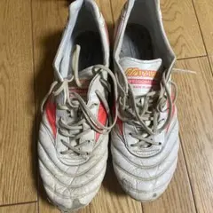 Item thumbnail for item c8c3c4cd-1be7-41bd-8811-a88da8b5285c