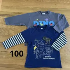 長袖Tシャツ 100サイズ 恐竜ネイビー /グレー　男の子 保育園着 普段着