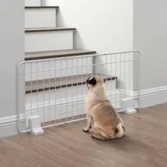 Item thumbnail for item 2709d620-01d0-4711-a6bf-dd08176fe0e5