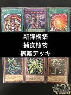 遊戯王　捕食植物デッキ　プレデタープランツ　新弾構築　即購入可　超逸融合