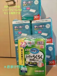 大量お得！アイリスオーヤマ防水シーツ 5袋＋リリーフ パンツ1袋＋沢山おまけ付きのサムネイル