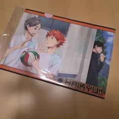 ハイキュー　クリアファイル　烏野高校