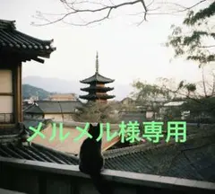 新品 リライブシャツ（スポーツ款 / 男女兼用 / M サイズ / ブラック）