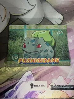 【希少】ポケモン　明治ゲットカード フシギダネ プリン 2枚セット 希少】ポケモン 明治ゲットカード フシギダネ プリン 2枚セット - メルカリ