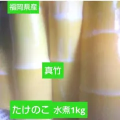 福岡県産　真竹　たけのこ水煮1kgのサムネイル