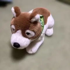 Item thumbnail for item 1801f20f-4825-439a-987b-a08e4aa0443c