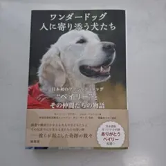 ワンダードッグ人に