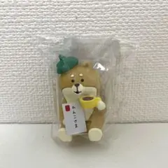 ぽんすけ様 リクエスト 2点 まとめ商品