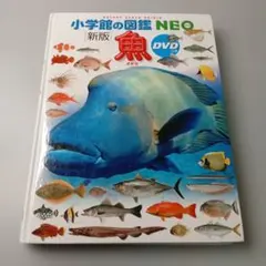 小学館の図鑑 NEO 新版 魚 DVDカバーなしのサムネイル