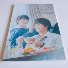 パーフェクトプロポーズ 公式ビジュアルブック - メルカリ