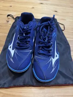 Item thumbnail for item 7e8cef8f-e623-4d67-adcf-e1b3494835f5