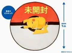 ポケモンスリープ　ブランケット　イベント限定