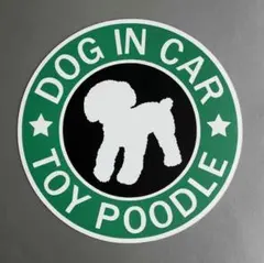 Item thumbnail for item 28e1ab42-3c8b-4fc8-a4bb-612c220a7b20