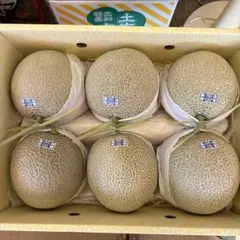 糖度19!! 「太陽の華」富良野メロン 2玉 品種：ティアラ - メルカリ