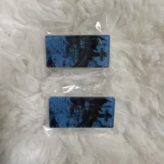 ヒロアカ 轟焦凍 ネームバッジ 2個セット