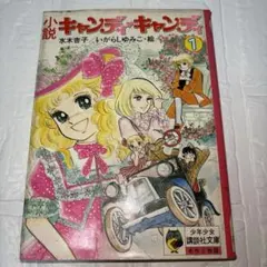 絶版 キャンディキャンディ 9巻 初版 黒文字ver いがらしゆみこ 水木