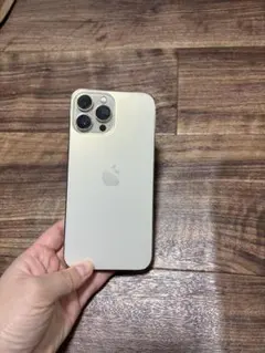 iPhone13promax 256GB