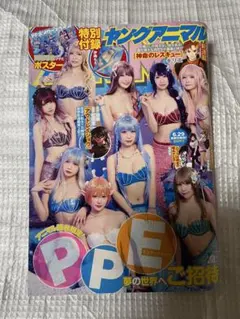 ヤングアニマル2023年7月14日号