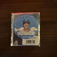 日本ハムファイターズ　伏見寅威選手 スタンド付きアクリル缶バッジ