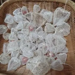小中大　透かしほうずき　100ケ 小中大 透かしほうずき 100ケ - メルカリ