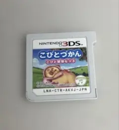 3DS ソフト こびとづかん