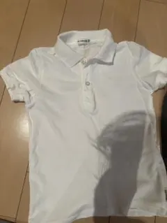 Item thumbnail for item df994b2b-c54b-4e5d-a117-0e967fc43743