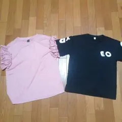 夏休みセール！SHEIN 半袖トップス 2点セットのサムネイル