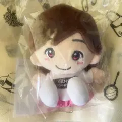 関西ジャニーズJr. あけおめコンサート2021 なにわ男子 道枝駿佑 ちびぬい