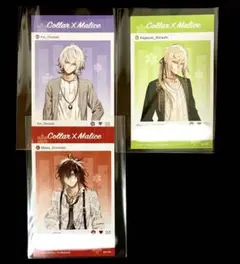 カラマリ　メセカ　岡崎　白石　榎本
