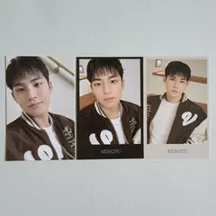 SEVENTEEN ミンギュ インスタントフォト トレカ シャツ ケレン