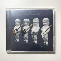 flumpool What's flumpool!?