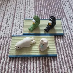 コンコンブル　6点セット