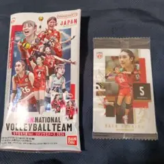女子日本代表 佐藤淑乃 メタリックプラカード