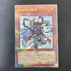 遊戯王 青き眼の賢士 25thシークレットレア 1枚 - メルカリ