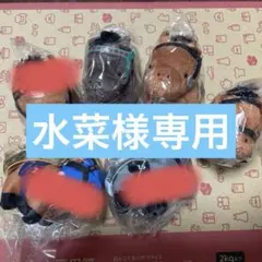 競馬 サラブレッドコレクション アイドルホース マスコット ぷち