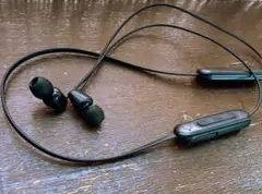 ソニー(SONY) ワイヤレスイヤホン WI-C100