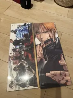 bleach bluray