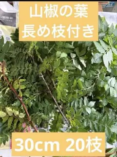 2026年最新】山椒の葉 無農薬の人気アイテム - メルカリ