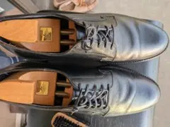 Item thumbnail for item e8a847b6-a3f4-4cd0-9eb4-f20a1e30da94