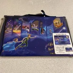 ディズニー ビリーブシーオブドリームス レジャーシート