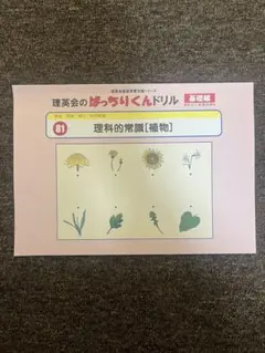 2026年最新】ばっちりくんドリルの人気アイテム - メルカリ